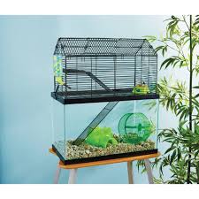 The team here at personal beast are proud to serve you and the montavilla neighborhood great quality items for your beloved pets. Petco Locations In Portland Oregon
