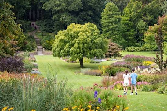 RHS Garden Harlow Carr | Visit North Yorkshire