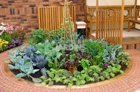 ronde des legumes un parterre potager les plus beaux jardins potager beaux jardins