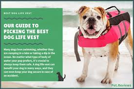 7 Best Dog Life Vests 2019 Reviews Keep Your Dog Safe
