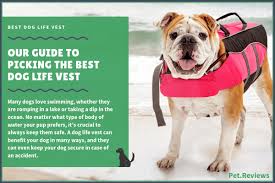 7 best dog life vests 2019 reviews keep your dog safe