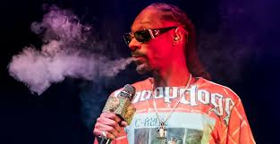 Snoop dogg official page for chillin, smoking while gaming ggl. Traumjob Alert Snoop Dogg Zahlt 50 000 Dollar An Personlichen Blunt Dreher
