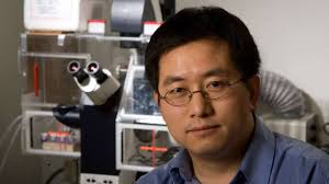 New tool tells bioengineers when to build microbial teams