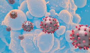 New COVID variant with immune escape potential confirmed in US, 22 other countries
