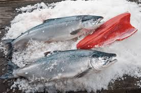Dari sisi keragaman ada lebih dari 300 jenis ikan hias air tawar maupun laut yang menjadi andalan ekspor. Cara Untuk Anda Pilih Ikan Salmon Di Pasar Raya Maskulin