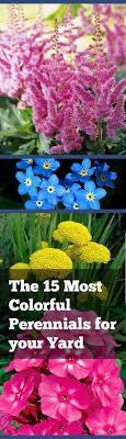 Colorful Perennials Full Sun Shade Landscapes Garden Flowers Perennials Plants Flower Garden