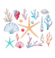 Including transparent png clip art, cartoon, icon, logo, silhouette, watercolors, outlines, etc. Coral Watercolor Vector Images Over 2 700