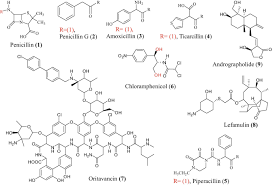Image result for Dolichopentas