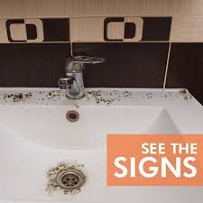 There Are Visible Signs Of Water Damage In Your Home That You Can Detect Things Like Visible Mold Growth And A Musty Smell Odor Are Bo Mold Growth Sink Odor