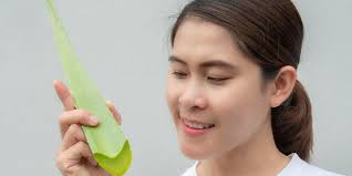 Lidah buaya, mungkin bagi sebagian orang, lidah buaya hanyalah sebagai tanaman hias. Lidah Buaya Untuk Jerawat Ini Pilihan Cara Menggunakannya