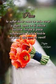 Pilde Si Cugetari Beautiful Flowers Wallpapers Thoughts Quotes