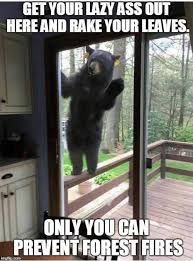 Only You Can Prevent Forest Fires Realtor Humor Funny Pictures Real Estate Humor