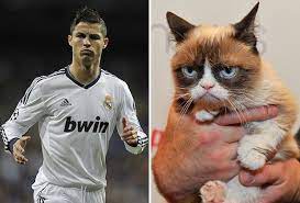 He's considered one of the greatest and highest paid soccer players of all time. Grumpy Cat Verdient Mehr Als Cristiano Ronaldo