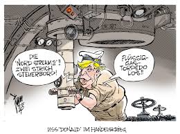 As donald trump and joe biden campaigned for the presidency, their decisions during a global pandemic were on full display. Internationale Politik Archives Janson Karikatur