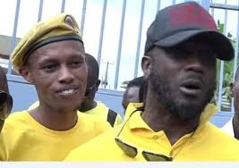criticism of bobi wine's leadership claims