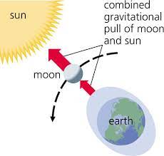 He wrote on the revolution of heavenly spheres which was published in 1543. Astronomy Lecture Number 9a
