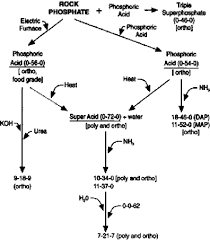 Understanding Phosphorus Fertilizers Umn Extension