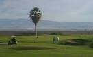 Buena Vista Golf Course | Taft CA