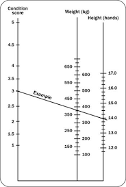 Nomogram For Estimating Body Weight From Body Condition