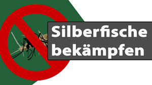 Wie sie die schädlinge loswerden, erstaunlich bad paneele statt fliesen bilder von fliesen, silberfische bekämpfen: Silberfische Bekampfen Mit Mittel Gegen Silberfischchen Silberfische Loswerden