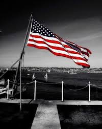 Black And White Striped Flag With Stars The Stars And Stripes American Flags Flying American Flag Flag