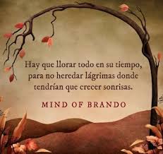 Pin On Mind Of Brando