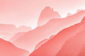 15 Gorgeous Vsco Filters For Different Kinds Of Photos