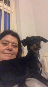 Encountering Deer While Walking in the Woods