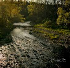 Syrena Lynn Carver: An evening in Bishopville NY