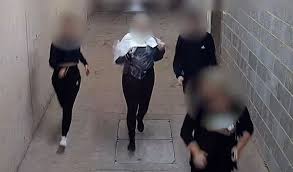 We did not find results for: Controle Covid Des Clientes S Echappent D Un Salon De Coiffure Avec Du Shampoing Sur Les Cheveux Video 7sur7 Be