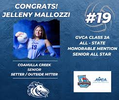 Senior spotlight: Jenna Hamlin #8 has...