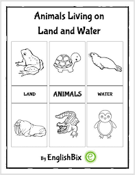 You Are Being Redirected Activity Workbook Animals Interesting Animals