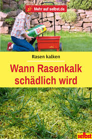 Nachhaltiges gärtnern ist für uns eine herzensangelegenheit. Rasen Kalken Selbst De Rasen Moos Im Rasen Garten