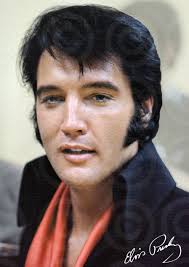 Elvis Presley Karate