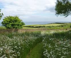 Mown Path Through Meadow Dan Pearson Mowing Garden Styles Dan Pearson