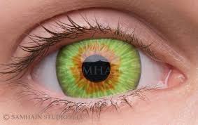 Ciri Single Lens Samhain Contact Lenses All of my lenses are hand painted by me, and you can purchase them at my website. ciri single lens