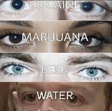 How It Feels To Drink Water Zuckerberg R Memes