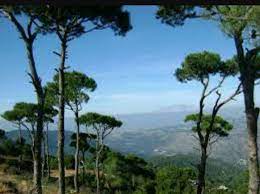 We did not find results for: Lebanon Beautiful Nature Posts Facebook