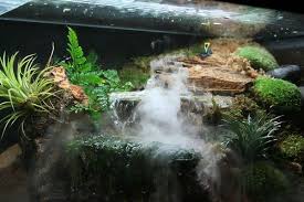 Pin By Tori Williams On Terrarium Ideas Red Eared Slider Reptile Tank Reptiles
