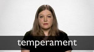 Hindi Translation Of Temperament Collins English Hindi Dictionary A free online english hindi picture dictionary. hindi translation of temperament