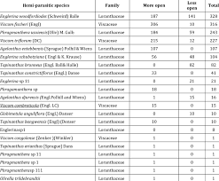 Image result for Globimetula anguliflora