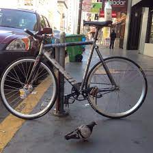 low pursuit track bicycle
