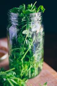 Check spelling or type a new query. Secret To Keeping Cilantro Fresh In The Refrigerator For Weeks Dad With A Pan