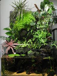 Pin On Green Indoor