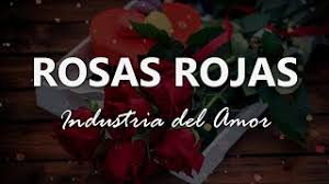 Industria Del Amor Rosas Rojas Letra Youtube