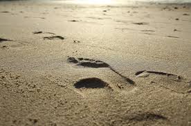 El nombre se deriva de los nombres de las tres protagonistas femeninas (hayami, hinata, otoha). Dejar Una Huella En Esta Vida Viceversa Magazine