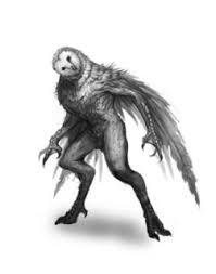 The namibian flying snake is an odd gargantuan serpent that is possibly derived from african legends of dragons. Capcom Giving Away 70 000 To Real Life Monster Hunters