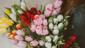 Send gifts online from giftsnideas an international gift delivery service. International Women S Day In Poland Customs Careers In Poland