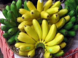 We did not find results for: Cara Menanam Dan Budidaya Pisang Yang Baik Dan Benar Bibitbunga Com