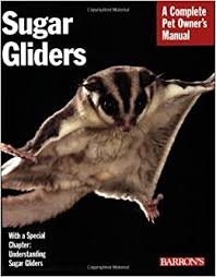 Buy Sugar Gliders Everything About Purchase Care Nutrition Behavior And Breeding Complete Pet Owner S Manual Book Online At Low Prices In India Sugar Gliders Everything About Purchase Care Nutrition Behavior And